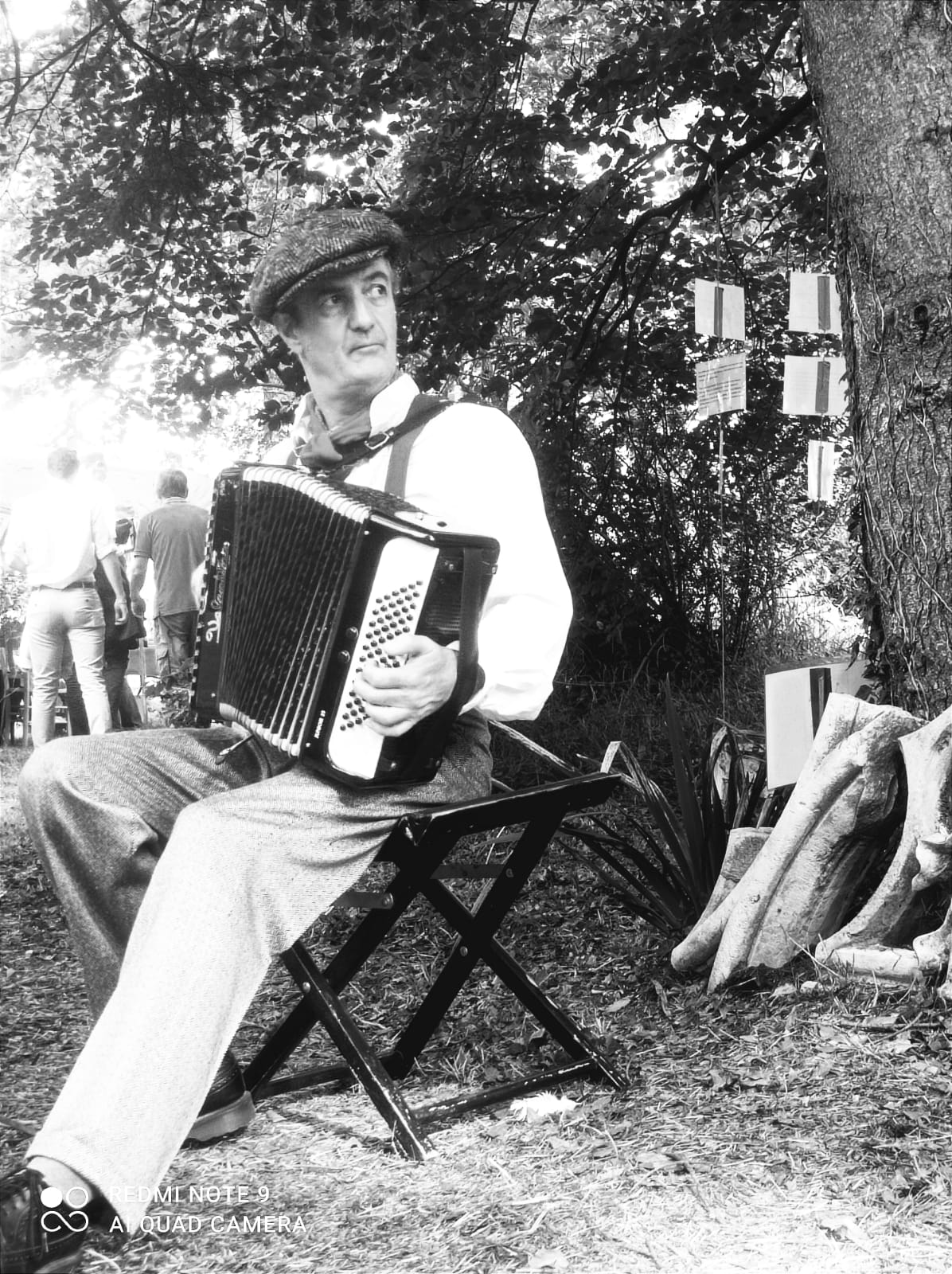 Accordéon regard lointain